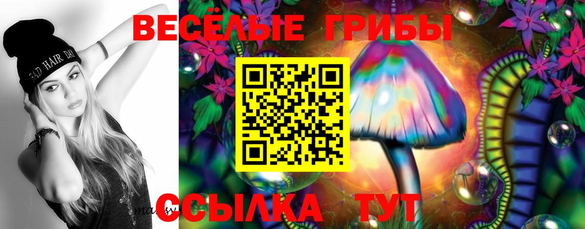 Псилоцибиновые грибы мухоморы  Псилоцибиновые грибы MAGIC MUSHROOMS  Бийск  Вход с VPN 